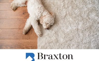 Why You Need to Have Area Rugs Professionally Cleaned at Least Once a Year