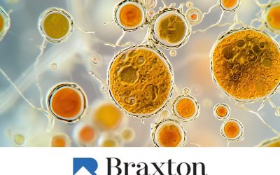 Carpet Cleaning Blog 3 2026 Carpet Cleaning Trends in Nky: What Homeowners & Businesses Need to Know